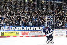 Eishockey, Herren, DEL, Saison 2021-2022, 05.11.2021
