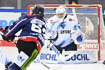 Straubing Tigers - ERC Ingolstadt