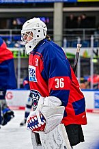 Eishockey, Herren, Penny DEL, 40. Spieltag, Saison 2023-2024, Straubing Tigers - Augsburger Panther,21.01.2024