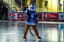 Eishockey, Herren, DEL, Saison 2021-2022, Straubing Tigers - Adler Mannheim, 10.09.2021