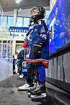 Eishockey, Herren, DEL, Saison 2022-2023, Hauptrunde, Straubing Tigers - ERC Ingolstadt, 22. Spieltag, 20.11.2022