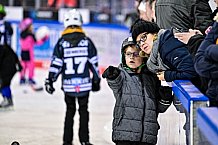 Eishockey, Herren, Penny DEL, DEL, Saison 2022-2023, Hauptrunde, Straubing Tigers - Grizzlys Wolfsburg, 27. Spieltag, 04.12.2022