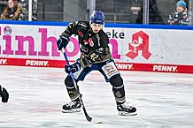 Eishockey, Herren, Penny DEL, 24. Spieltag, Saison 2023-2024, Straubing Tigers - Grizzlys Wolfsburg,03.12.2023
