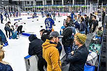 Eishockey, Men, DEL, Penny DEL,  Straubing Tigers - Kids on Ice, 01.01.2021