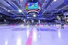 Eishockey, Herren, Penny DEL, 8. Spieltag, Saison 2023-2024, Straubing Tigers - ERC Ingolstadt,06.10.2023
