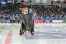 Eishockey, Herren, Penny DEL, 16. Spieltag, Saison 2023-2024, Straubing Tigers - Schwenninger Wild Wings,31.10.2023