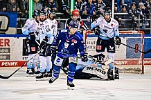 Eishockey, Herren, Penny-DEL, DEL, Saison 2022-2023, Hauptrunde, Straubing Tigers - ERC Ingolstadt Panther, 43. Spieltag, 15.01.2023