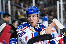 Eishockey, Herren, DEL, Saison 2021-2022, Playoff, Viertelfinale, Spiel 1, Straubing Tigers - Adler Mannheim, 10.04.2022