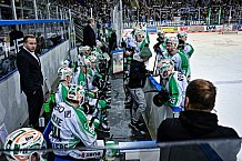 Eishockey, Herren, Penny DEL, DEL, Saison 2022-2023, Hauptrunde, Straubing Tigers - Bietigheim Steelers, 53. Spieltag, 16.02.2023
