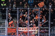 Eishockey, Herren, Penny DEL, DEL, Saison 2022-2023, Playoffs, Viertelfinale, Spiel 1, Straubing Tigers - Grizzlys Wolfsburg, 14.03.2023