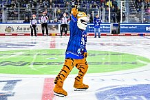 Eishockey, Herren, Penny DEL, Hauptrunde, 1. Spieltag, Saison 2022-2023, Straubing Tigers - Nürnberg Ice Tigers, 16.09.2022