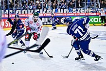 Eishockey, Herren, CHL, Champions Hockey League, Saison 2022-2023, Achtelfinale, Straubing Tigers - Frölunda HC Göteborg, Rückspiel, 22.11.2022