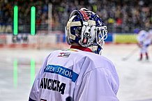 Eishockey, Herren, DEL, Penny DEL, Saison 2022-2023, Hauptrunde, Straubing Tigers - Eisbären Berlin, 37. Spieltag, 30.12.2022