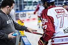 Eishockey, Herren, DEL, Saison 2020-2021, Straubing Tigers - Düsseldorfer EG, 04.04.2021