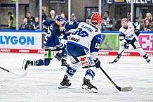 Eishockey, Herren, Penny DEL, Playoffs, Viertelfinale, Spiel 7, Saison 2023-2024, Straubing Tigers - Schwenninger Wild Wings,30.03.2024