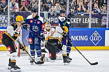 Eishockey, Men, CHL, Champions Hockey League, Regular Saison 2024-25, Game Day 2, Straubing Tigers - Skelleftea AIK, 08.09.2024