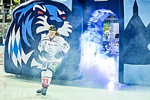 Eishockey, Herren, EHC Straubing U20, Saison 2021-2022, Ehrung, Bayerischer Meister 23.03.2022