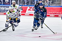 Eishockey, Herren, Penny DEL, Playoffs, Halbfinale, Spiel 2, Saison 2023-2024, Straubing Tigers - Eisbären Berlin, n03.04.2024