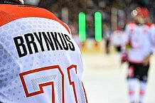 Eishockey, CHL, Champions Hockey League, 3. Spieltag, Saison 2022-2023, Gruppe F, Straubing Tigers - Comrach Cracovia, 09.09.2022