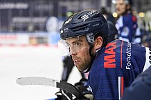 Straubing Tigers - ERC Ingolstadt