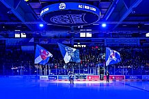 Eishockey, Herren, Penny DEL, 40. Spieltag, Saison 2023-2024, Straubing Tigers - Augsburger Panther,21.01.2024
