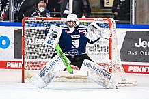 Eishockey, Herren, DEL, Saison 2021-2022, 39. Spieltag, Straubing Tigers - Grizzlys Wolfsburg,  18.02.2022