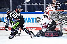 Eishockey, Herren, DEL, Saison 2020-2021, Straubing Tigers - Kölner Haie, 11.04.2021