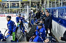 Eishockey, DEL, Penny-DEL, Vorbereitung, Straubing Tigers - ERC Ingolstadt, Gäubodencup 2022, Finale21.08.2022