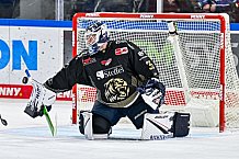 Eishockey, Herren, Penny DEL, 22. Spieltag, Saison 2023-2024, Straubing Tigers - Fischtown Pinguins Bremerhaven,26.11.2023