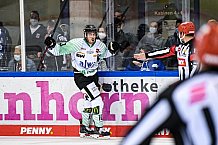 Eishockey, Herren, DEL, Saison 2021-2022, 01.10.2021