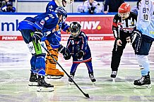 Eishockey, Herren, DEL, Saison 2022-2023, Hauptrunde, Straubing Tigers - ERC Ingolstadt, 22. Spieltag, 20.11.2022
