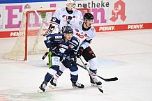Eishockey, DEL, Penny-DEL, Vorbereitung, Gäubodencup 2021, 13.08.2021