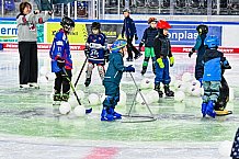 Eishockey, Men, DEL, Penny DEL,  Straubing Tigers - Kids on Ice, 28.09.2024