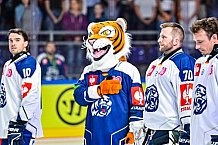 Eishockey, Men, CHL, Champions Hockey League, Regular Saison 2024-25, Game Day 1, Straubing Tigers - SonderjyskE Vojens, 06.09.2024