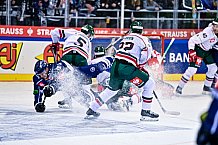 Eishockey, Herren, CHL, Champions Hockey League, Saison 2022-2023, Achtelfinale, Straubing Tigers - Frölunda HC Göteborg, Rückspiel, 22.11.2022
