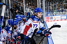 Eishockey, Herren, DEL, Saison 2021-2022, Playoff, Viertelfinale, Spiel 3, Straubing Tigers - Adler Mannheim, 14.04.2022