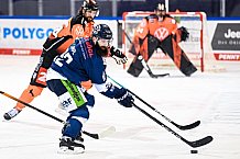 Eishockey, Herren, DEL, Saison 2021-2022, 10.12.2021
