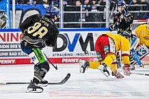 Eishockey, Herren, Penny DEL, 20. Spieltag, Saison 2023-2024, Straubing Tigers - Duesseldorfer EG,19.11.2023