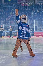 Eishockey, Herren, Penny DEL, 29. Spieltag, Saison 2023-2024, Straubing Tigers - Schwenninger Wild Wings,21.12.2023