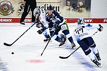 Eishockey, DEL, Penny-DEL, Vorbereitung, Gäubodencup 2021, 15.08.2021