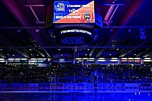 Eishockey, Herren, Penny DEL, DEL, Saison 2022-2023, Playoffs, Viertelfinale, Spiel 5, Straubing Tigers - Grizzlys Wolfsburg, 24.03.2023