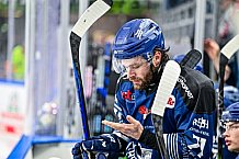 Eishockey, Herren, Penny DEL, Playoffs, Halbfinale, Spiel 2, Saison 2023-2024, Straubing Tigers - Eisbären Berlin, n03.04.2024
