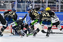 Eishockey, Herren, Penny DEL, 49. Spieltag, Saison 2023-2024, Straubing Tigers - Frankfurter Löwen,25.02.2024