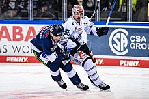 Eishockey, Herren, DEL, Saison 2021-2022, 17.10.2021