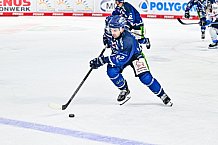 Eishockey, Herren, Penny DEL, Saison 2024-2024, Vorbereitung, Gäubodencup 2024, Straubing Tigers - ERC Ingolstadt, 29.08.2024