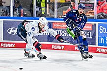 Eishockey, Men, DEL, Penny DEL, Hauptrunde Saison 2024-25, 8. Spieltag, Straubing Tigers - Adler Mannheim, 11.10.2024