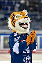 Eishockey, Herren, DEL, Saison 2021-2022, 55. Spieltag, Straubing Tigers - Augsburger Panther,  13.03.2022