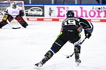 Eishockey, Herren, DEL, Saison 2020-2021, Straubing Tigers - Kölner Haie, 11.04.2021