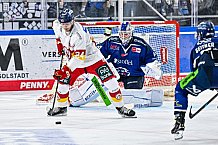 Eishockey, Men, DEL, Penny DEL, Hauptrunde Saison 2024-25, 1. Spieltag, Straubing Tigers - Düsseldorfer EG, 20.09.2024