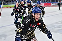 Eishockey, Herren, Penny DEL, 22. Spieltag, Saison 2023-2024, Straubing Tigers - Fischtown Pinguins Bremerhaven,26.11.2023
